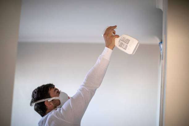 Best Black Mold Removal  in Bermuda Dunes, CA