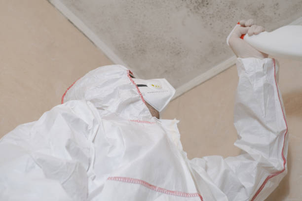 Best Professional Mold Removal  in Bermuda Dunes, CA